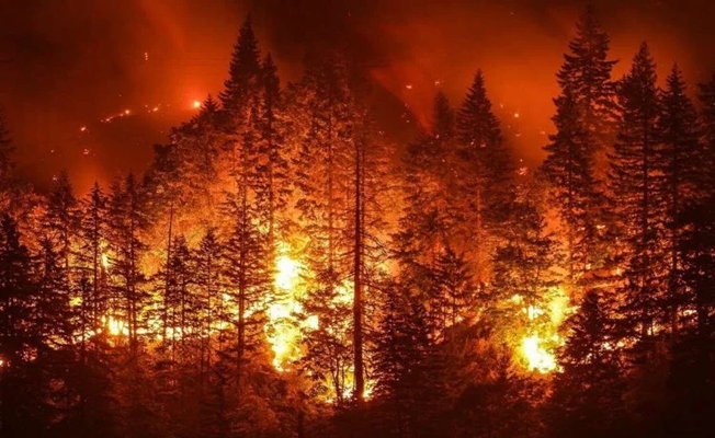 Bursa İtfaiyesi'nden orman yangınlara karşı duyarlılık çağrısı