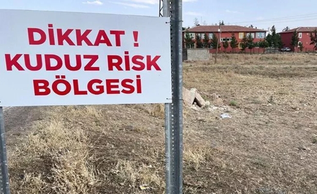 Niğde'de kuduz karantinası!