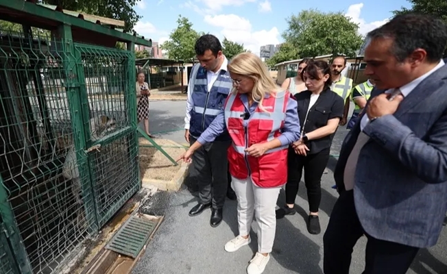 İstanbul Bakırköy can dostlarının yanında