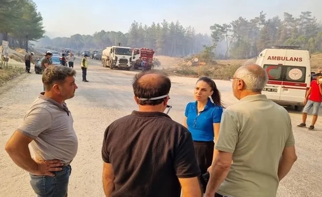 Muğla'daki yangınlar TBMM'ye taşındı