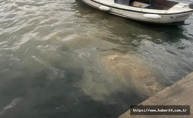 İstanbul Üsküdar'da atık su deşarjına inceleme!