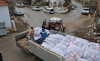 Antalya'da üreticilere süt yemi desteği