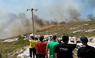 Çeşme'deki yangından acı haber! 3 ölü, 4 gözaltı!