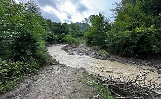 Ordu'da üç ilçeyi sel vurdu