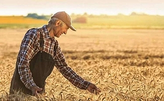 Tarım ürünleri aylık ve yıllık arttı