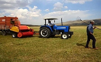 Bu yıl ödenecek bitkisel üretim destekleri belli oldu