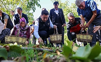 Bilecik ceviz üretiminde Türkiye 3’üncüsü