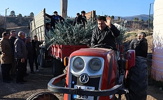 Eskişehir'de zeytincilik yaygınlaştırılacak